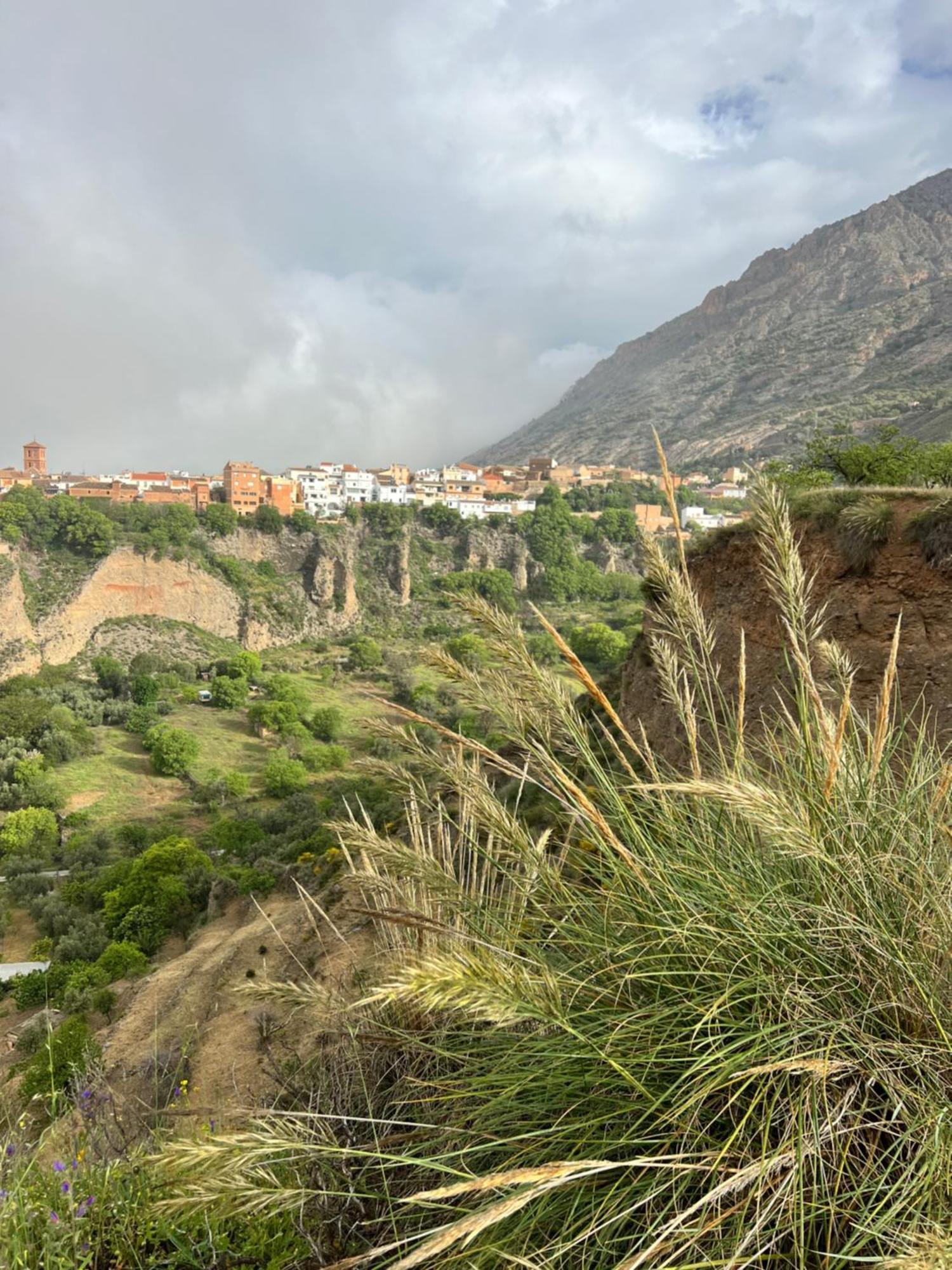 Casa Morayma, Lecrin, Granada (Adults Only) Otel Acequias Dış mekan fotoğraf